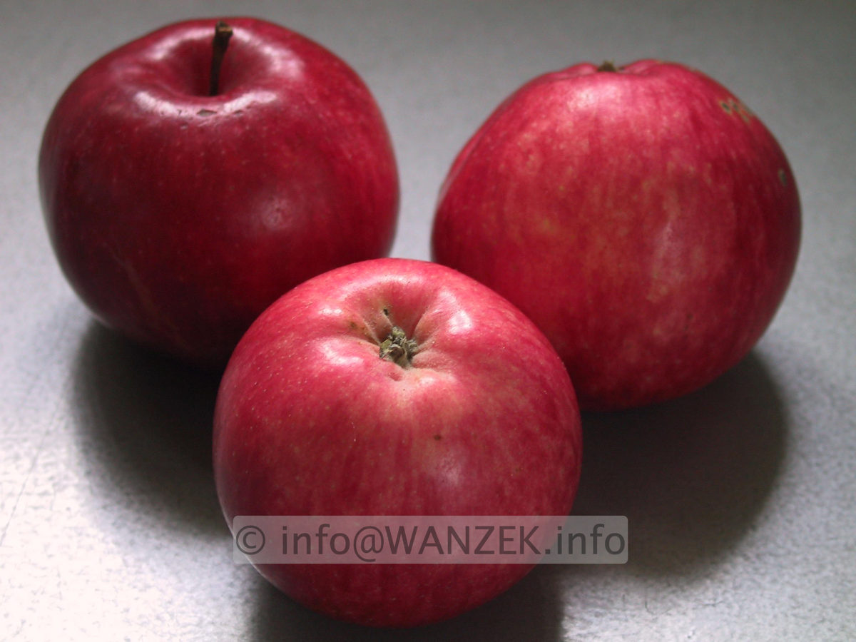 Apfel Jamba 69-1.JPG